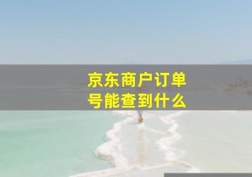 京东商户订单号能查到什么