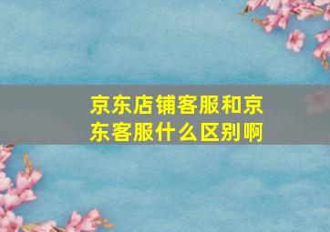 京东店铺客服和京东客服什么区别啊