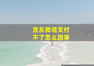 京东微信支付不了怎么回事