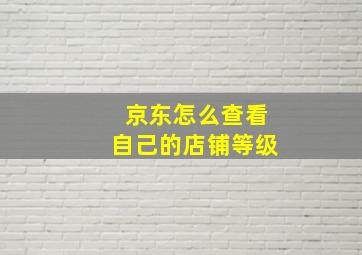 京东怎么查看自己的店铺等级