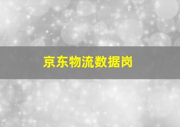 京东物流数据岗