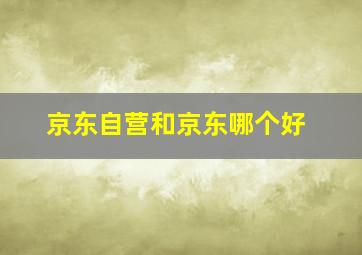 京东自营和京东哪个好