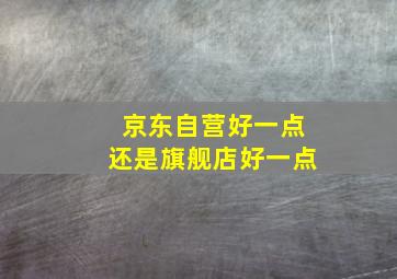 京东自营好一点还是旗舰店好一点