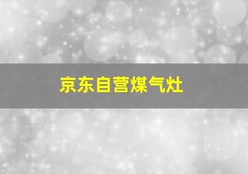 京东自营煤气灶