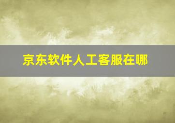 京东软件人工客服在哪