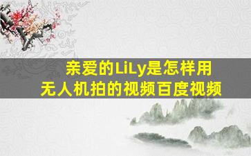 亲爱的LiLy是怎样用无人机拍的视频百度视频