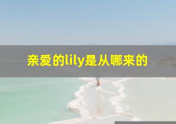 亲爱的lily是从哪来的