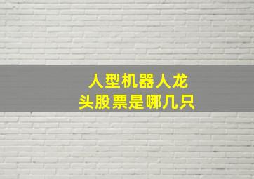 人型机器人龙头股票是哪几只