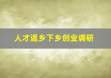 人才返乡下乡创业调研