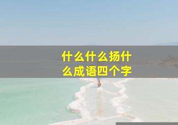 什么什么扬什么成语四个字