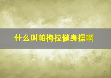 什么叫帕梅拉健身操啊