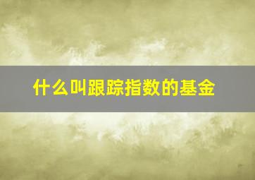 什么叫跟踪指数的基金