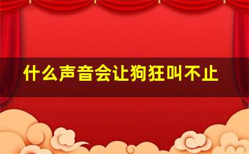 什么声音会让狗狂叫不止