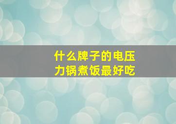 什么牌子的电压力锅煮饭最好吃