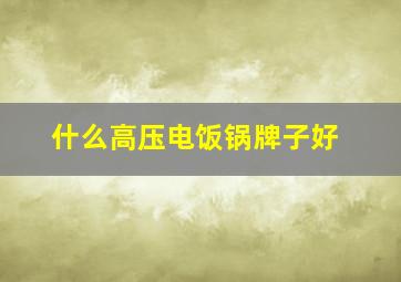 什么高压电饭锅牌子好