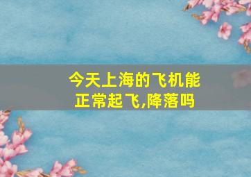 今天上海的飞机能正常起飞,降落吗