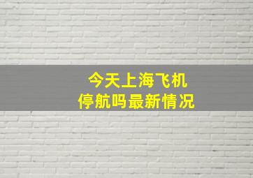 今天上海飞机停航吗最新情况