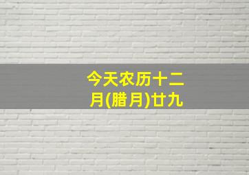 今天农历十二月(腊月)廿九