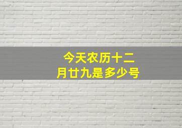 今天农历十二月廿九是多少号