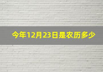 今年12月23日是农历多少