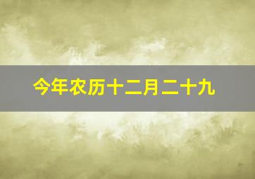 今年农历十二月二十九