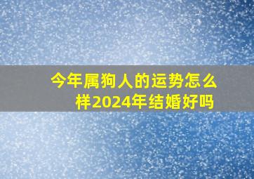 今年属狗人的运势怎么样2024年结婚好吗