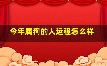 今年属狗的人运程怎么样