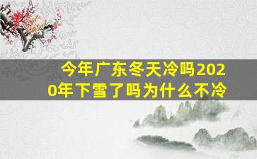 今年广东冬天冷吗2020年下雪了吗为什么不冷