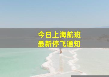 今日上海航班最新停飞通知