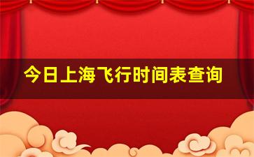 今日上海飞行时间表查询