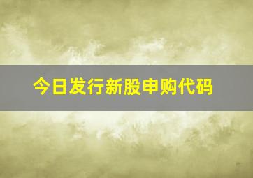 今日发行新股申购代码