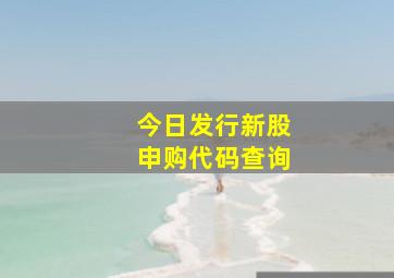 今日发行新股申购代码查询