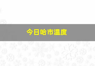 今日哈市温度