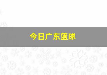 今日广东篮球