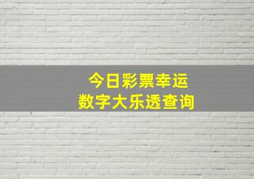 今日彩票幸运数字大乐透查询