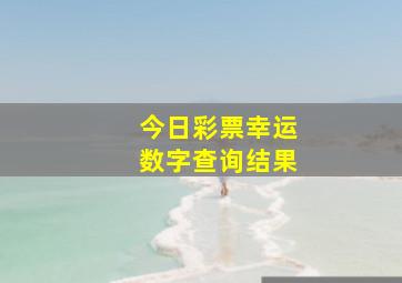 今日彩票幸运数字查询结果