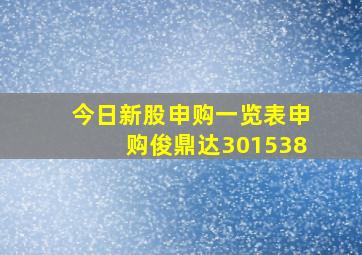 今日新股申购一览表申购俊鼎达301538