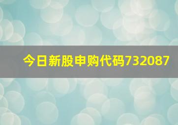 今日新股申购代码732087