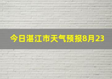 今日湛江市天气预报8月23