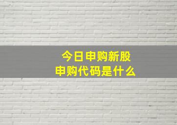 今日申购新股申购代码是什么