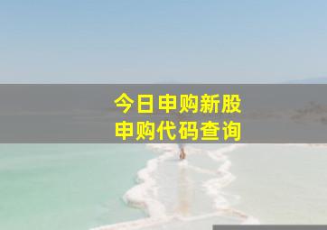 今日申购新股申购代码查询