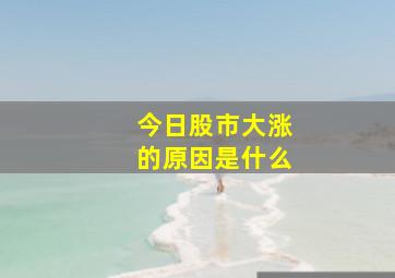 今日股市大涨的原因是什么