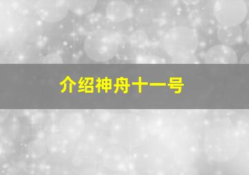 介绍神舟十一号