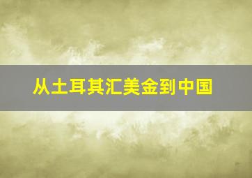 从土耳其汇美金到中国