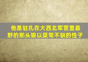 他是驻扎在大西北军营里最野的那头狼以桀骜不驯的性子