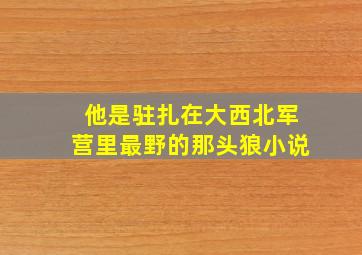 他是驻扎在大西北军营里最野的那头狼小说