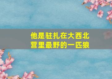 他是驻扎在大西北营里最野的一匹狼