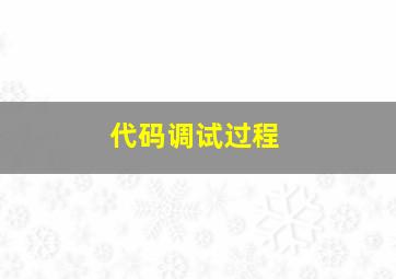 代码调试过程