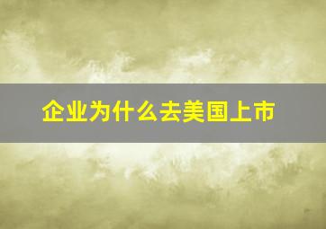 企业为什么去美国上市