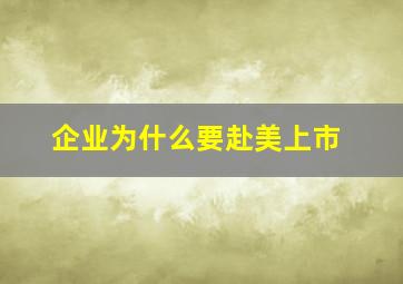 企业为什么要赴美上市